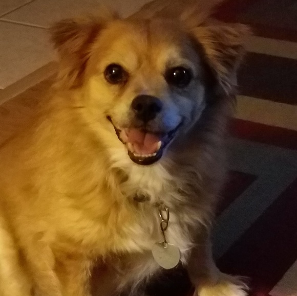 Meet your Posher, M - Picture 1 of 1